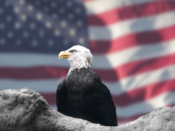 Eagle_and_American_Flag_by_Bubbels.jpg