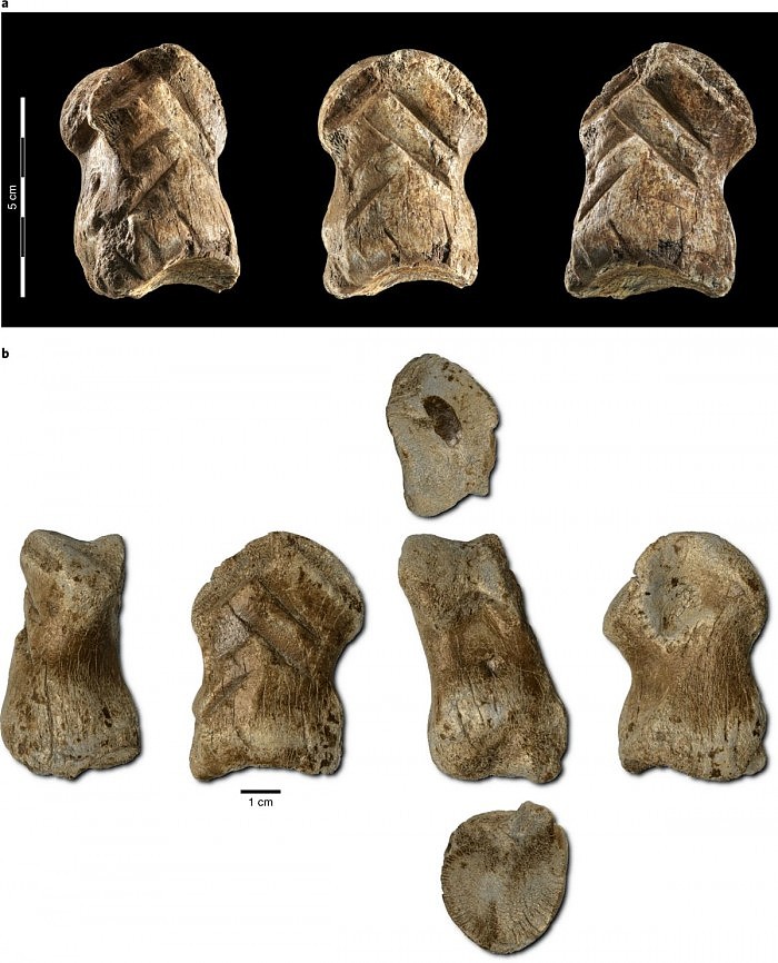 [图]尼安德特人的骨雕被发现：或许是最古老的艺术品 - 3