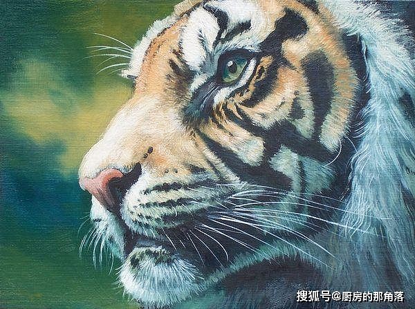 中国境内生活过的七种老虎，祖先都是中华古猫，华北虎最可惜 - 5