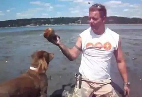 男子带狗去海边捡海鲜，听到狗狗对着个小洞狂吼，挖开一看赚到了 - 6