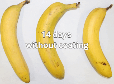 大规模取代塑料的希望，胡萝卜“摇身一变”，香蕉保质期延长7天 - 5