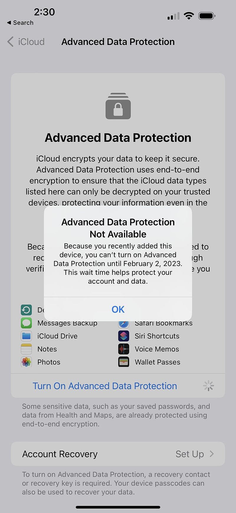 设有缓冲期，苹果不支持近期新增设备启用 iCloud 高级数据保护功能 - 1