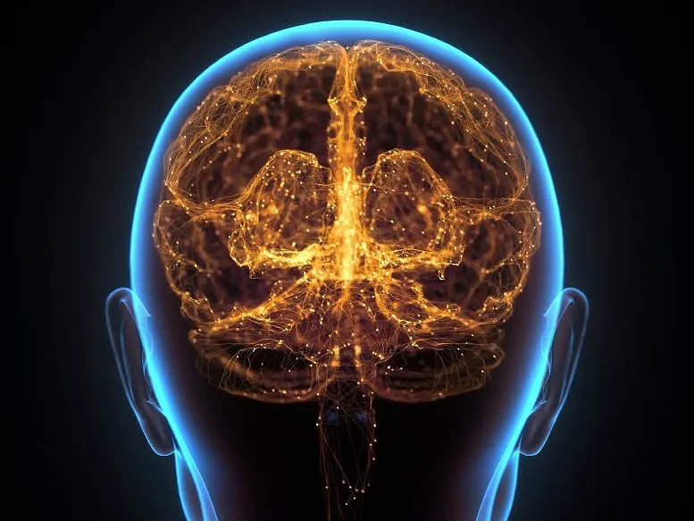 Human-Brain-Neural-Network-Cerebral-Cortex-777x583.webp