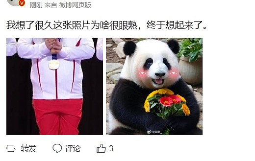 网友分享xinq摘金时刻趣图：怎么越看越像大熊猫？ - 2