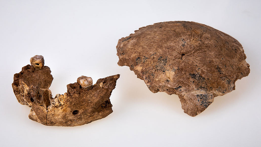 以色列发现未知人类化石：源自10万多年前的神秘种群 - 1