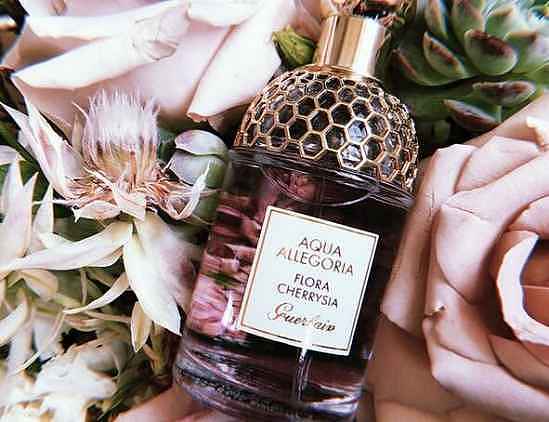 花香调香水是用什么花 花香调和木香调的区别 - 1