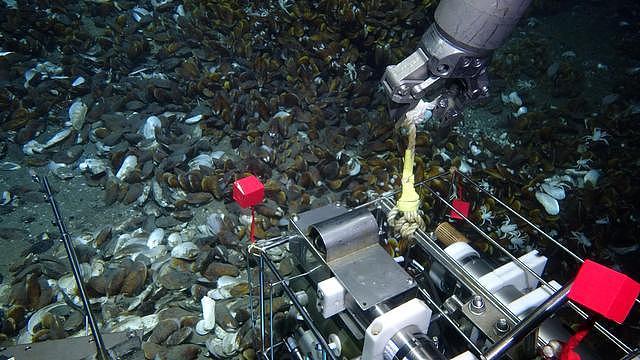“科学”号科考船圆满完成“在海底做实验”任务 - 3