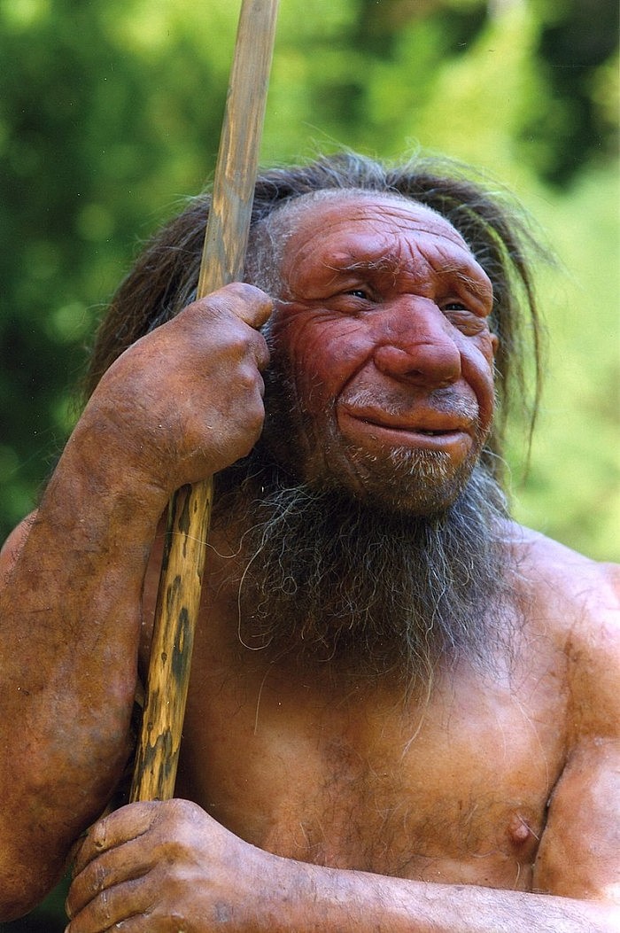 796px-Homo_sapiens_neanderthalensis-Mr._N.jpg