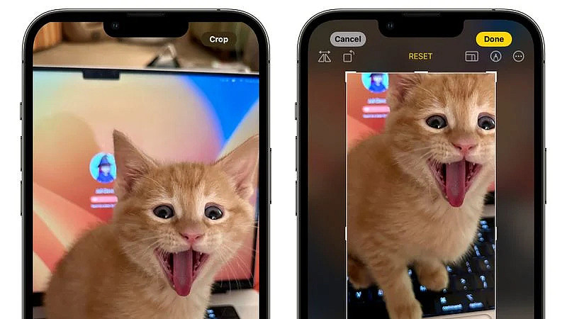 iOS 17 升级“照片”应用，为“裁剪”引入新操作逻辑 - 1