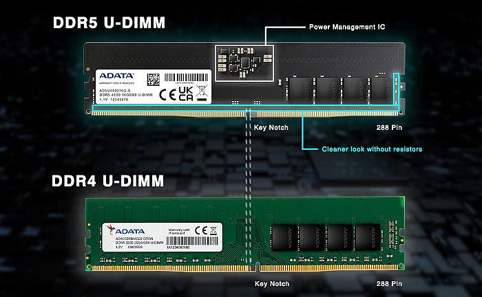 威刚推出 DDR5-4800 内存模组：单条最高 32GB，助力英特尔 12 代 Alder Lake 桌面平台 - 2