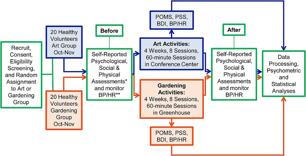 [图]新研究发现园艺可以改善你的精神健康 - 3