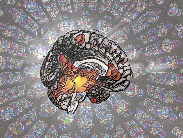 Spiritual-Brain.jpg