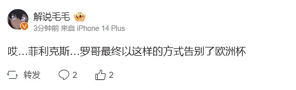 毛毛看葡萄牙点球大战失利：哎 菲利克斯和罗哥 最终这样方式告别欧洲杯 - 2