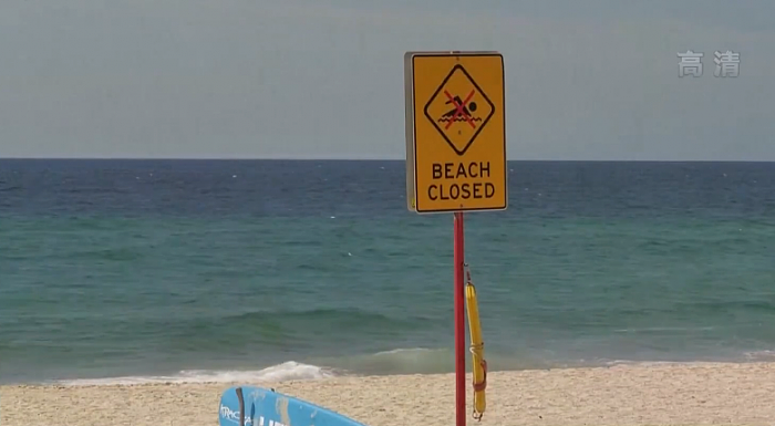 悉尼发生鲨鱼袭人致死事件：60年来首次、多个海滩已关闭 - 2