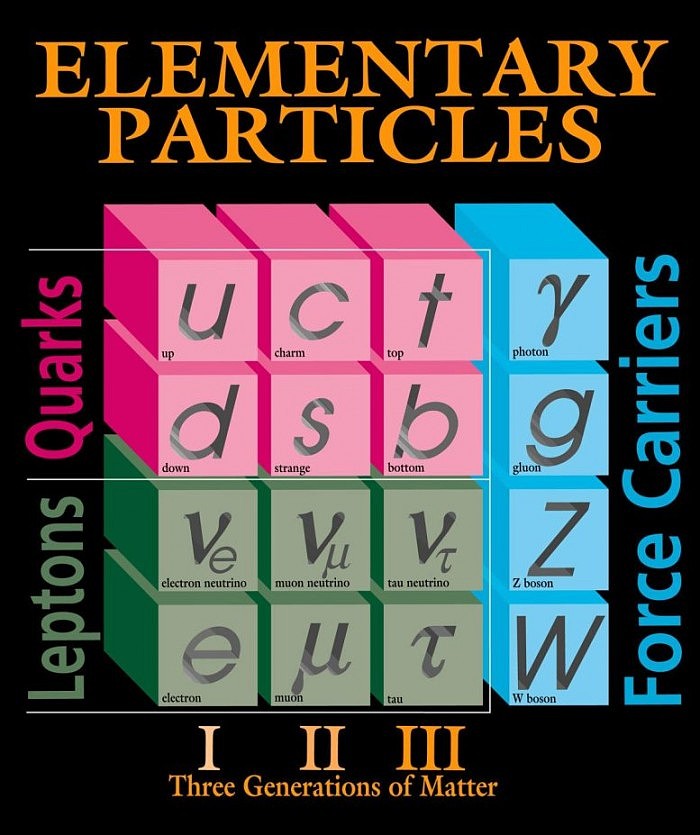 Elementary-Particles-777x927.jpg