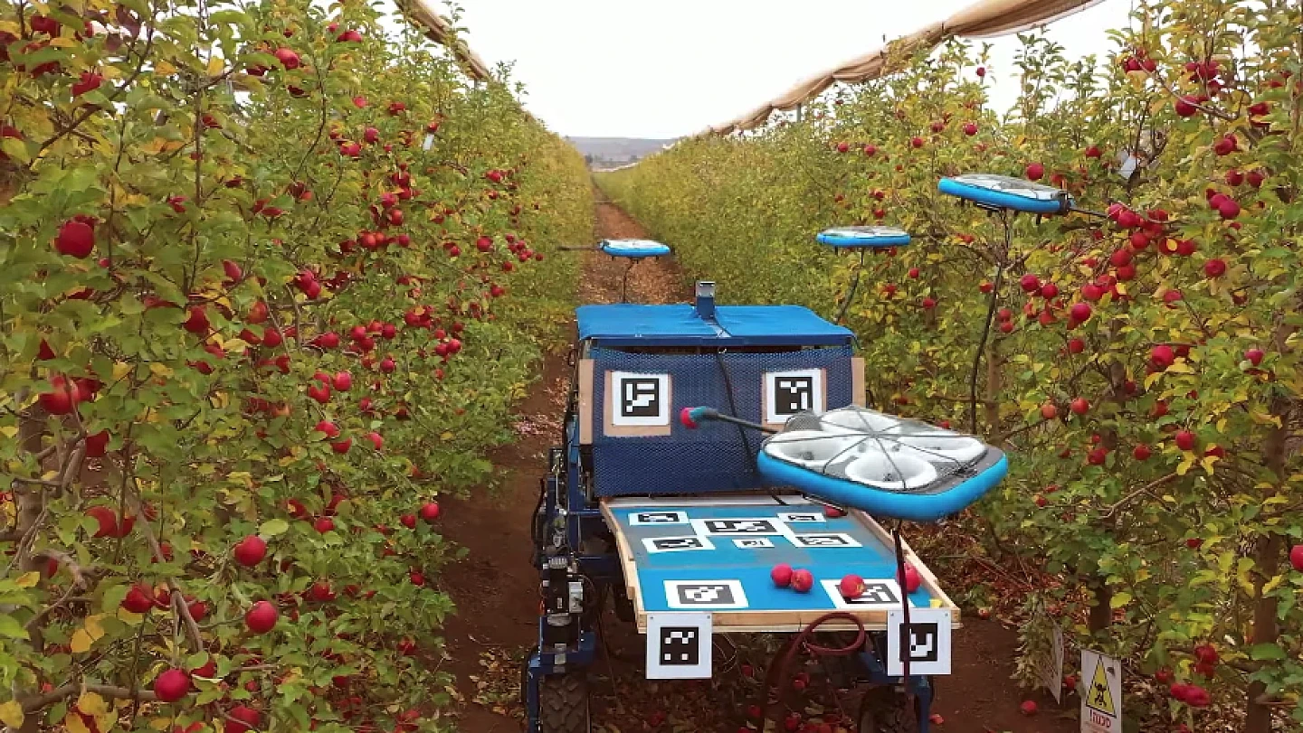以色列初创公司开发出一套利用无人机采摘水果的系统 - 2