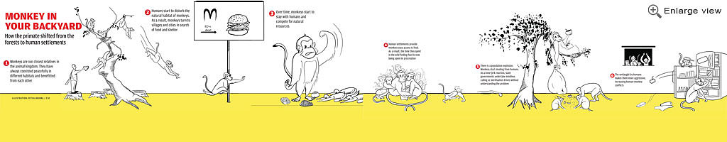 猖狂！印度婴儿遭野猴扔进水箱死亡，失控的猴子成为了印度的新威胁 - 5