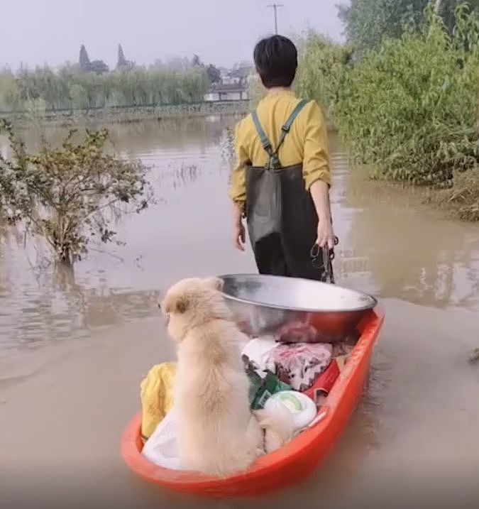 村庄被淹了，女子冒着危险回来接狗狗，这一幕太让人感动了！ - 2