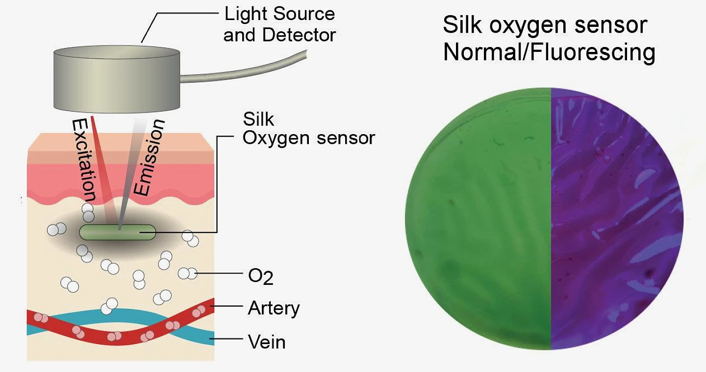 新型光敏“纹身”传感器可用于测量血氧水平 - 2