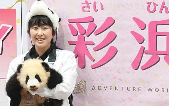 为给熊猫取名，近12万日本民众投票选举，网友：这排场还不够大！ - 2
