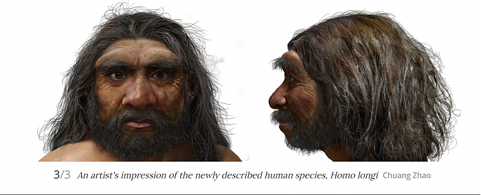 新发现的“龙人”物种Homo longi可能是我们的近亲 - 3