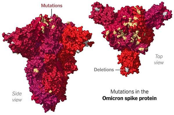 美国加州发现首例omicron毒株感染病例 打过两针Moderna疫苗 - 1