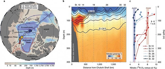 新研究表明海冰减少不会促进浮游生物的发展 - 1