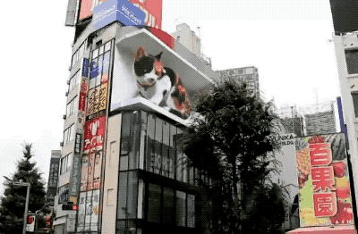 巨型喵星人亮相闹市街头，这只电子屏上的3D猫咪化身成热门景点 - 2