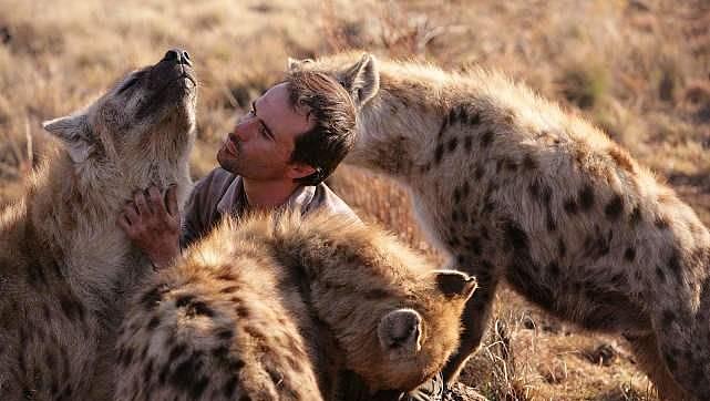 非洲草原的斑鬣狗真有那么讨厌吗？其实我们对鬣狗存在太多的误解 - 4