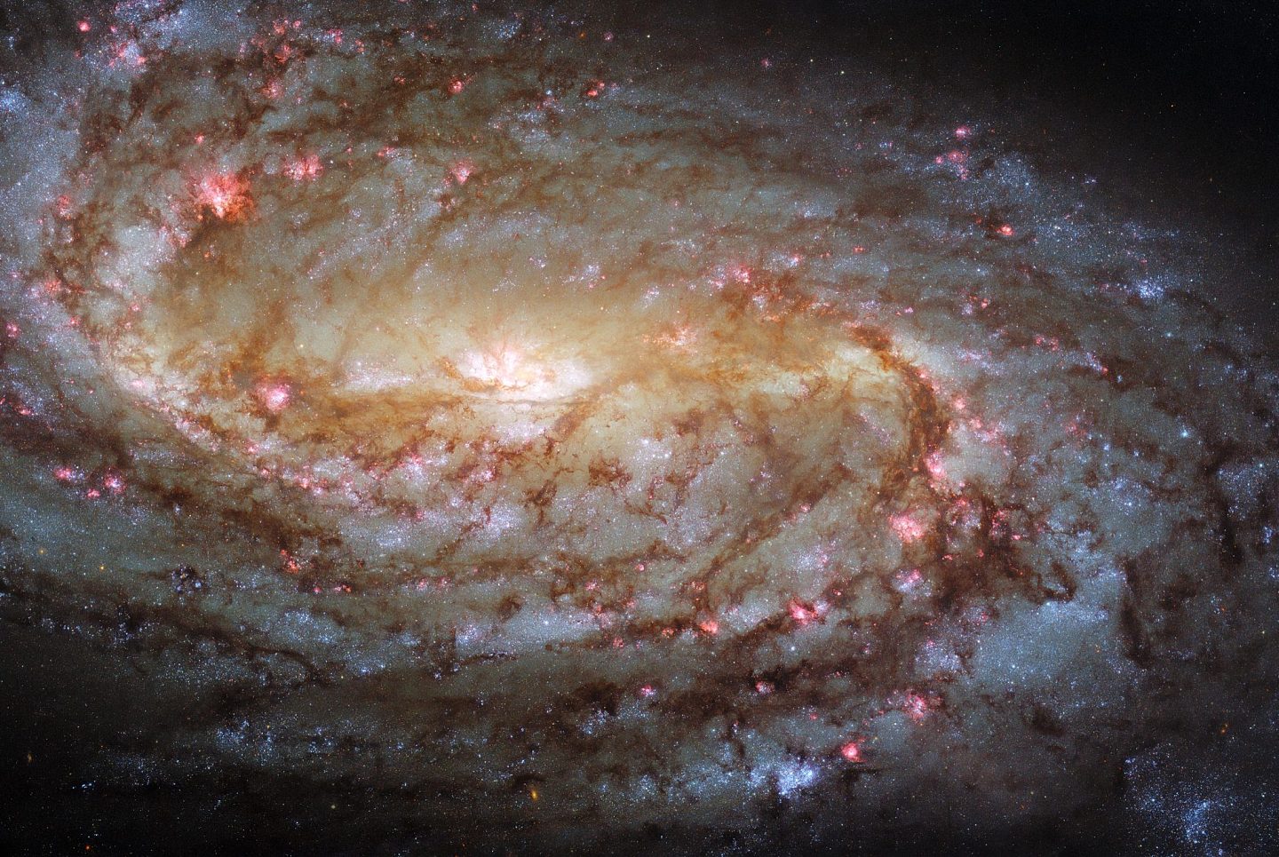 哈勃太空望远镜20年后再次拍下螺旋星系NGC 2903倩影 - 1