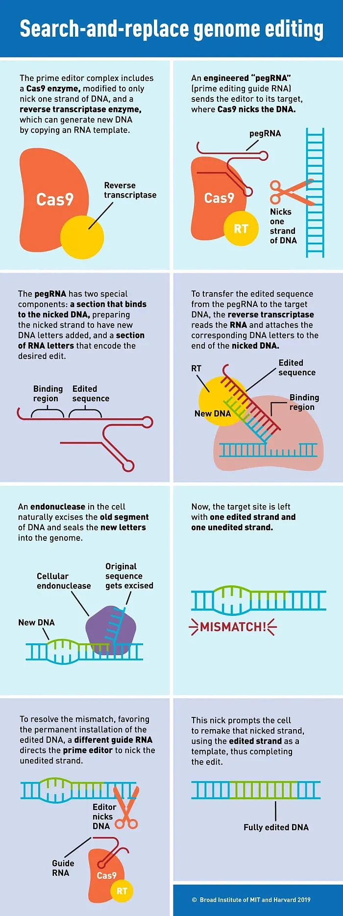 David Liu发布新prime编辑系统：在人类细胞中插入了完整的基因 - 2