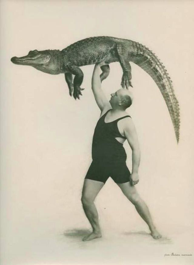 旧影拾记：20世纪老照片，美国人把鳄鱼当宠物，玩弄于股掌之中 - 2