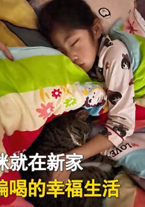 妻子坚决不同意养猫，隔了几天后却变了个人：完全沦陷了呀 - 4