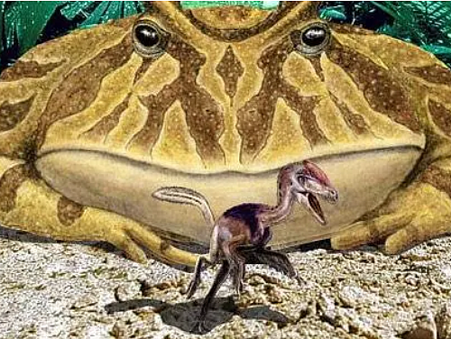 魔鬼蛙与恐龙的奇特关系：真相揭秘 - 1