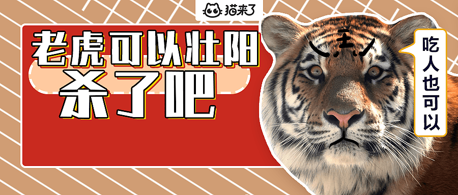 十七只老虎被村民非法抓捕，只为了给男人“壮阳”！ - 2