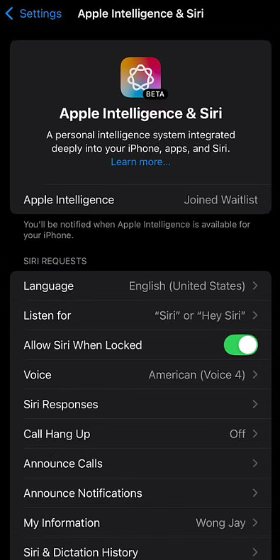 苹果牌“AI”首测、通话录音上线，苹果 iOS 18.1 开发者预览版 Beta 发布 - 14