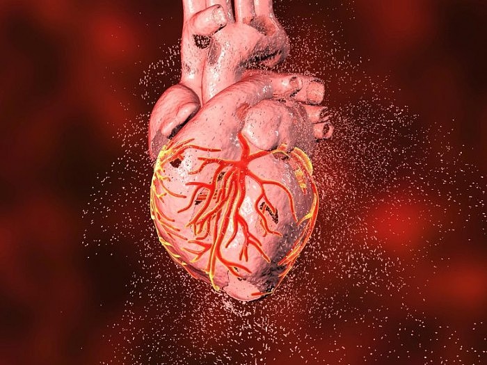 约翰霍普金斯大学开发出一种可以预测心脏猝死的方法 - 1