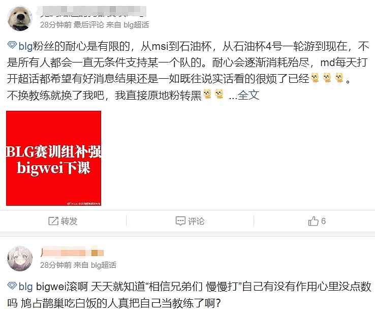 BLG超话热议Wei加盟：能不能换教练！特么换再多选手有什么用？ - 6