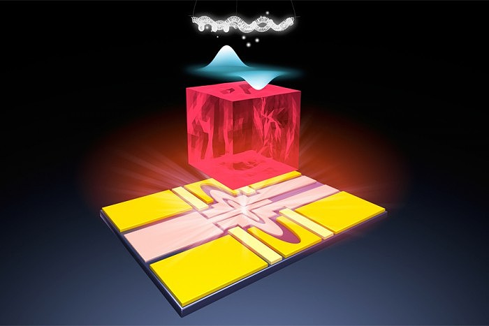 基于固态氖 科学家开发出新型量子比特平台 - 1