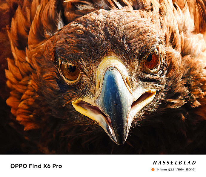 OPPO Find X6 / Pro 系列手机高清渲染图曝光：采用超光影三主摄 - 4
