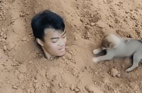 主人测试将自己埋土里，狗狗看到后做出的动作，让他瞬间掉眼泪 - 2