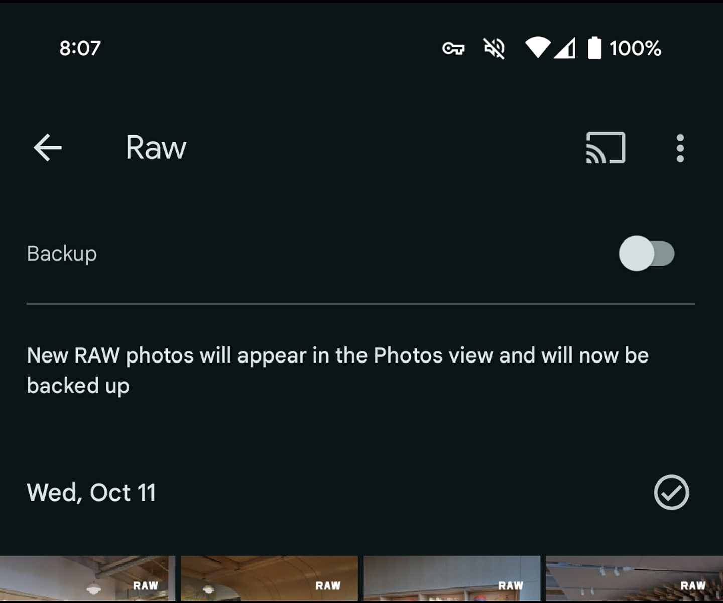 谷歌改善 Pixel 8 / Pro 手机 RAW 照片功能：分类更直观，自动同步至云端 - 2