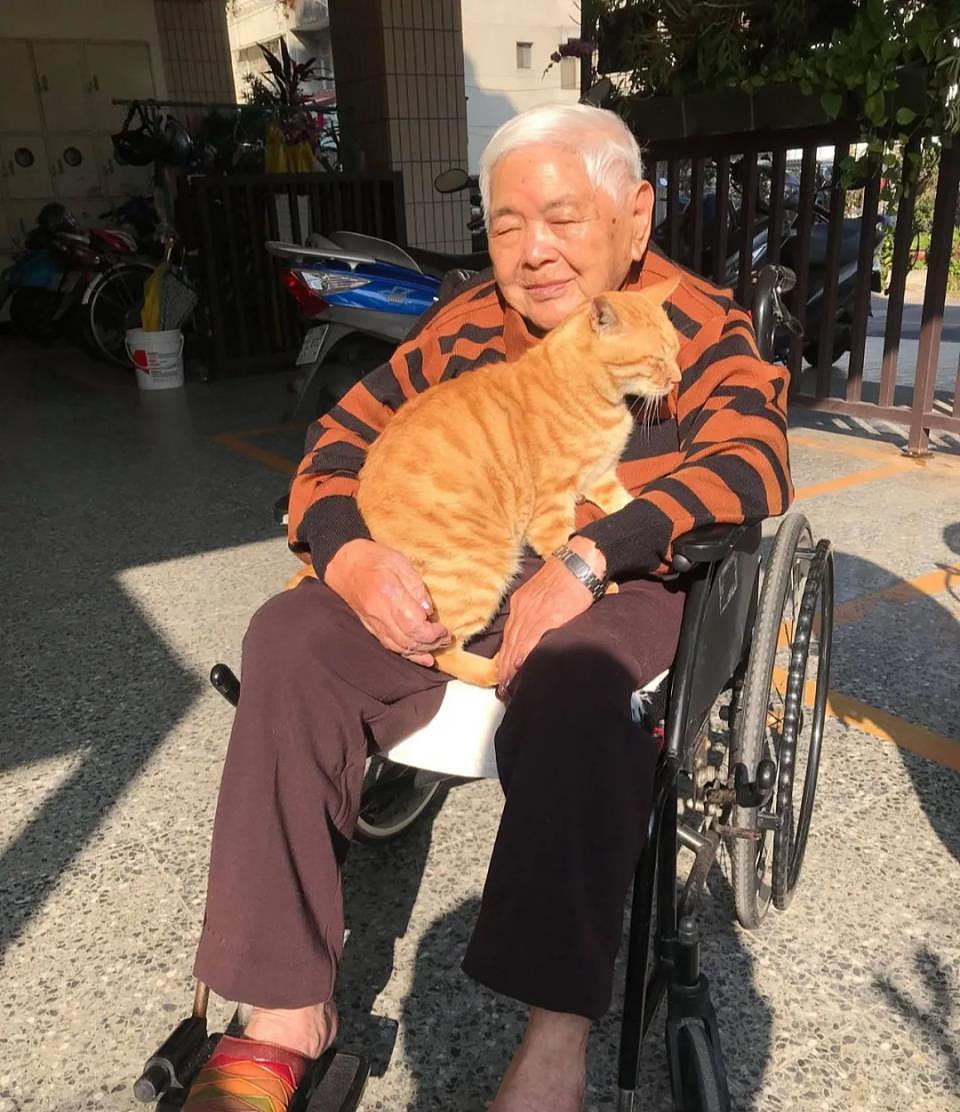 93岁奶奶靠轮椅代步终日厌世，遇橘猫后性格转变，全家都感谢它 - 1