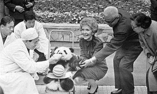 85年前，那个2次将熊猫从中国偷走的美国女人露丝，最后结局悲惨 - 4