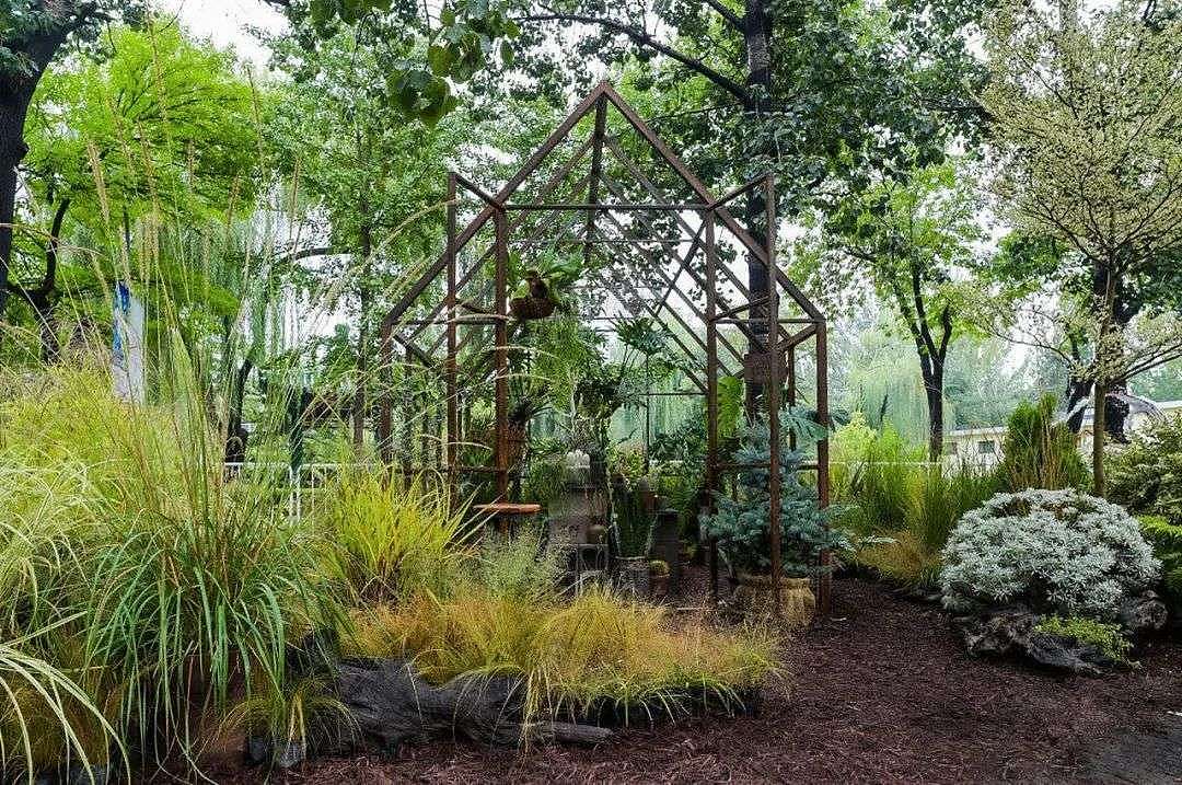 北京夫妻两年无收入，造1500㎡植物园：跟一草一木学做人 - 26