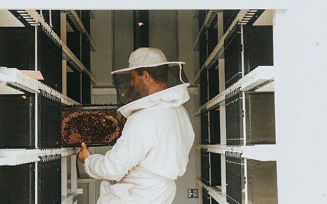 以色列蜜蜂技术初创公司Beewise再获8000万美元融资 - 4