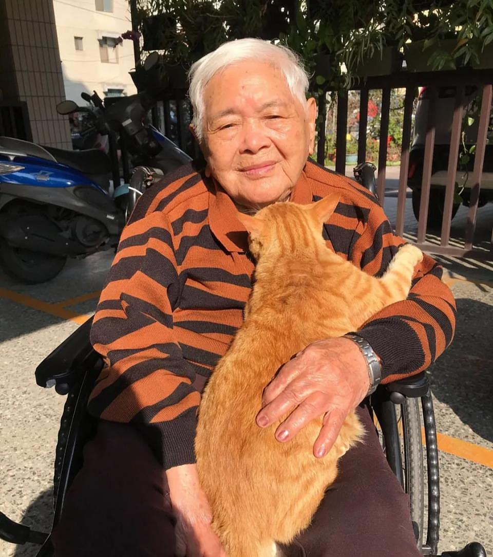 93岁奶奶靠轮椅代步终日厌世，遇橘猫后性格转变，全家都感谢它 - 7