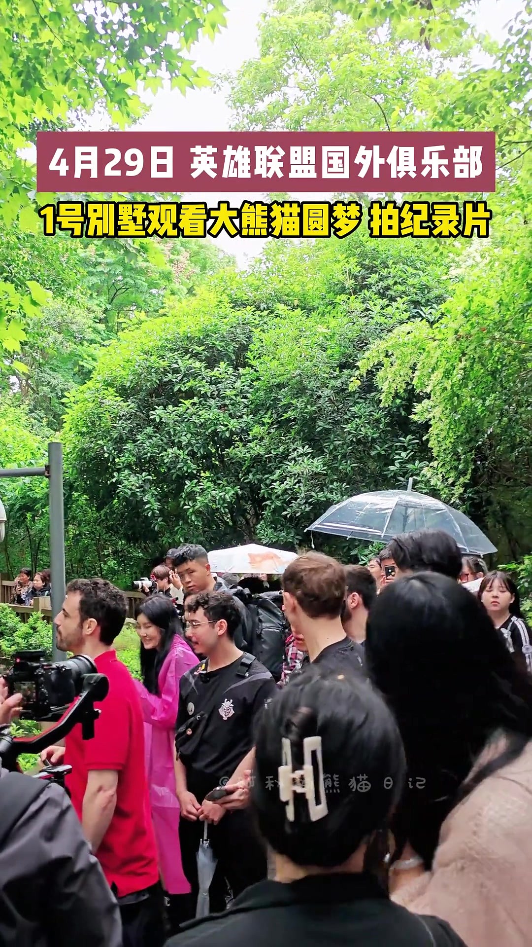 网友分享G2选手们到成都后，观看大熊猫的现场视频 - 1