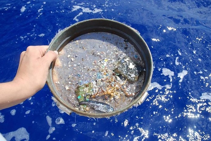 Microplastics-Sifted-From-Ocean.jpg