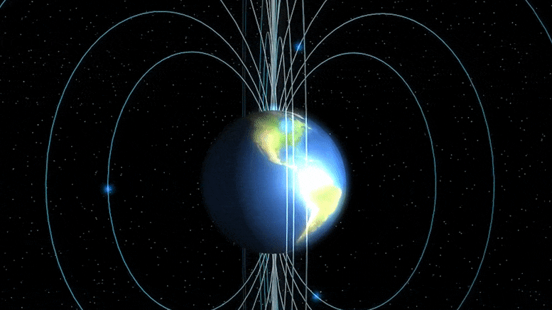 跨洲鸣禽利用地球磁场的轻微变化提示“已到达目的地” - 2